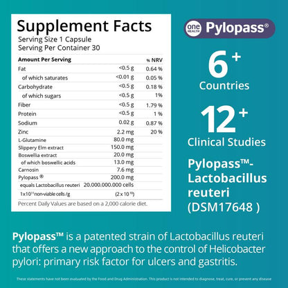 Tenorax™ MagenVital Stomach Support