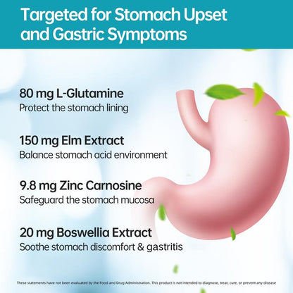 Tenorax™ MagenVital Stomach Support